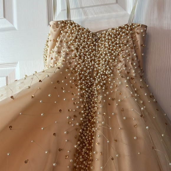 Terani Couture beautiful dress size 0 - Picture 5 of 8